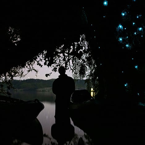 Small glow worm caves create an intimate close-up experience with glow worms