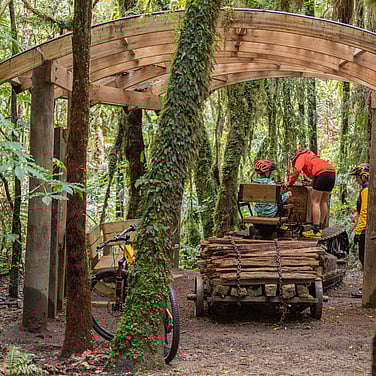Caterpillar Tractor | Timber Trail NZ