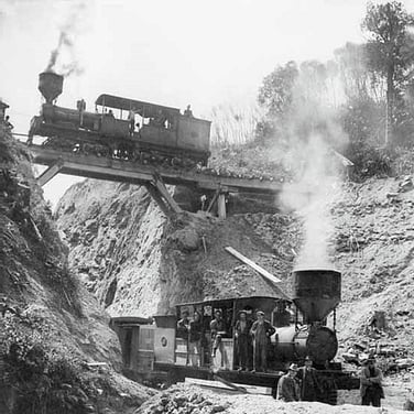 Ellis & Burnand lokies on the Ongarue Spiral | Timber Trail NZ