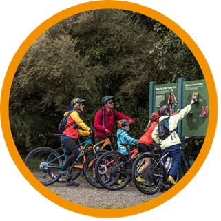 Heritage and Stories | Timber Trail NZ