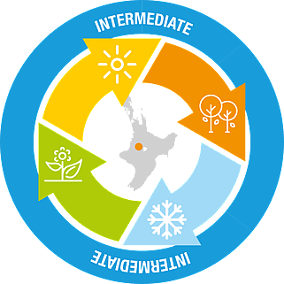 Accessible Adventure | Timber Trail NZ