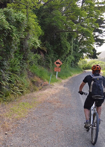 Timber Trail Heartland Ride