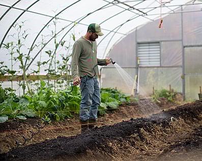 Water Filtration for Rural and Lifestyle blocks