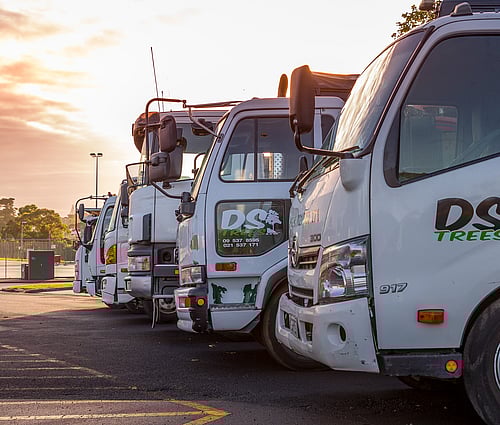 DS Trees fleet of Arborist vehicles