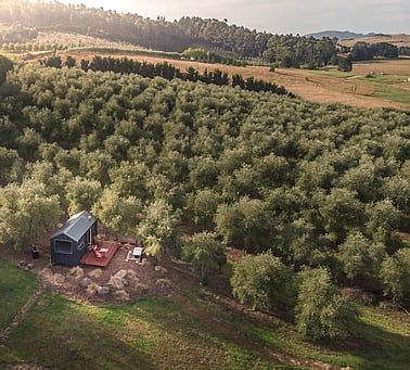 Olive Grove | Riverside cabins | Shaken Down Olive Oil