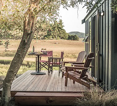 Dine alfresco EVOO Shaken Down Olive Oil