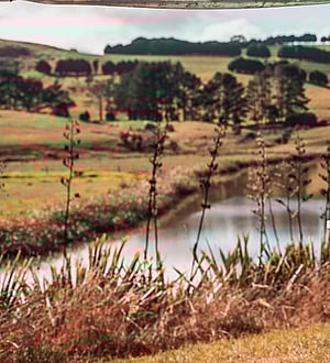 Eo-friendly accommodation | The River Bothy | Northland