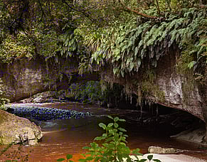 Exploring the Ōpārara Arches Near Karamea
