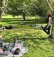 Shin rin yoku forest therapy and bathing at relaxing Arcus venue and day retreat near Waikanae on Kapiti Coast