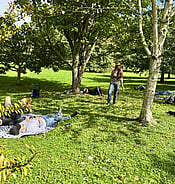 Deep relaxation for forest bathing day retreat at Arcus venue near Waikanae, Wellington and Palmerston North