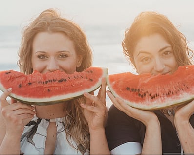 Christmas function venue for staff Christmas parties in December 2022 Wellington Kapiti Palmerston North