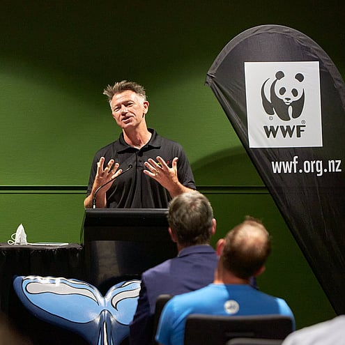 Best leadership programmes in New Zealand for merging leaders, developing leaders and senior leaders