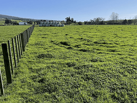 Image green sectioned paddock. 97 Corcoran Road, Te Pahu House & Land Package available with Waikato residential builders, Whitechurch Construction Limited. New Zealand