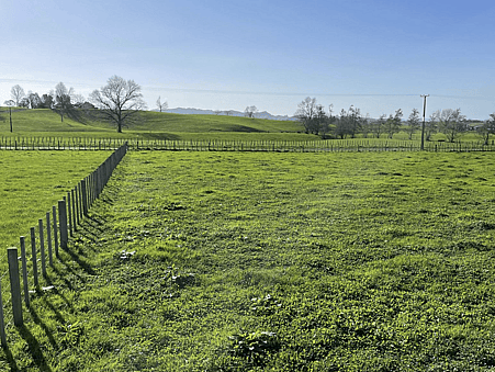 Image green sectioned paddock with rural outlooks. 97 Corcoran Road, Te Pahu House & Land Package available with Waikato residential builders, Whitechurch Construction Limited. New Zealand