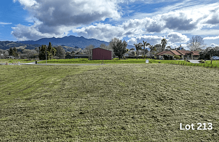 Image of Lot 213 at Amber Views, Collinson Street Subdivision, Pirongia. House & Land Packages available with Whitechurch Construction, quality Waikato builders.