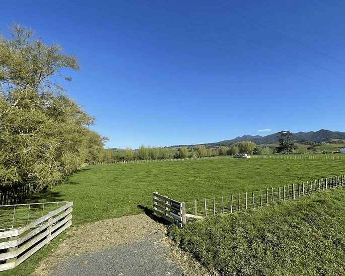 Image green sectioned paddock. 97 Corcoran Road, Te Pahu House & Land Package available with Waikato residential builders, Whitechurch Construction Limited. New Zealand