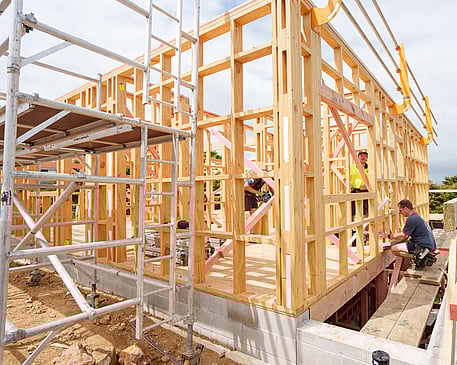 Image of the Whitechurch Construction team building. Waikato residential builders.