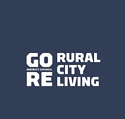 Long-Term Plan Management Services by Working Solutions