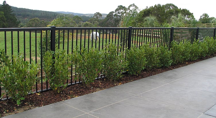 photo of a tiled area with Moduline boundary fencing, planted shrubs alongside and in the background a grass paddock with a horse grazing