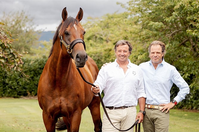 Super Seth pictured with Waikato Stud's Mark Chittick and Coolmore's Tom Magnier. - Photo: Supplied