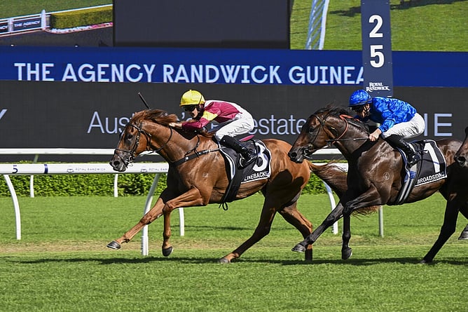 Super Seth's son Linebacker winning the Gr.1 Randwick Guineas (1600m) defeating Broadsiding - Photo: Bradleyphotos.com.au