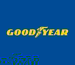 VISIT GOOD YEAR >
