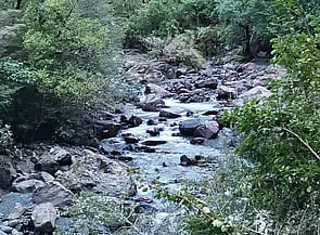 Mt Somers and Sharplin Falls Track