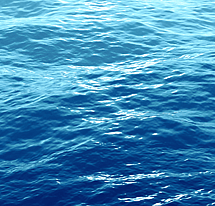 ADVENTURE - TERM 1 2026