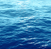 YOUTH LTS - JANUARY 2026