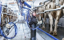 Rural and Farm Electrical Services