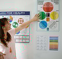 Kinesiology Courses NZ