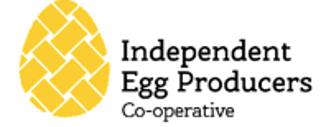 Manage brand strategies for New Day and Morning Harvest Eggs, communications plan and activation
