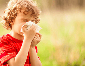 Hayfever & Allergies