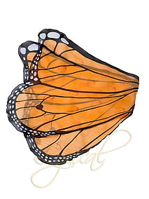 Butterfly Wings - RRP $17.99- - - - - - - - - - - -ADD TO CART >