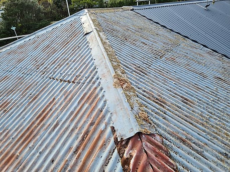 Before Prime Roofing Services | Roof Repair Wellington