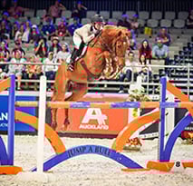 Natasha Brooks - 2016- Equestrian