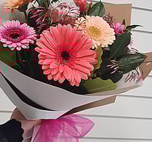 Vibrant Gerberas Rotorua