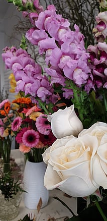 Snapdragons, white roses and gerberas