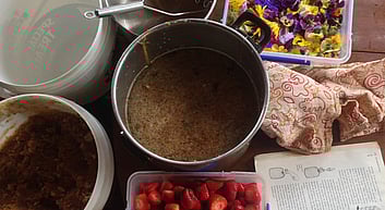 Online Fermentation course