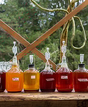 Fermentation Workshop