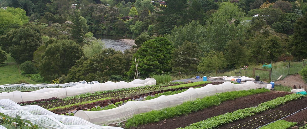 Organic Market Gardening Online Course - How to make a living from a 1/4 acre and sell over $100,000 of produce a season