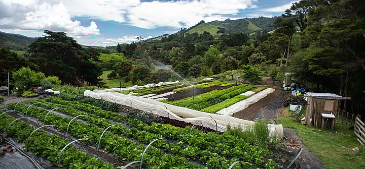 Home Gardening Workshop