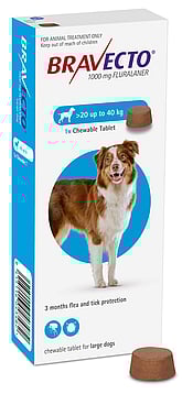 Bravecto Large Dog Chewable Tablet