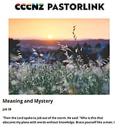 NEWSLETTER August 2023