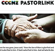 NEWSLETTER November 2023