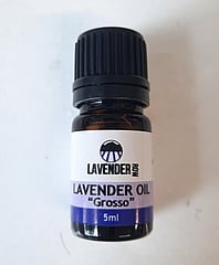 GROSSO - Not Gross At All