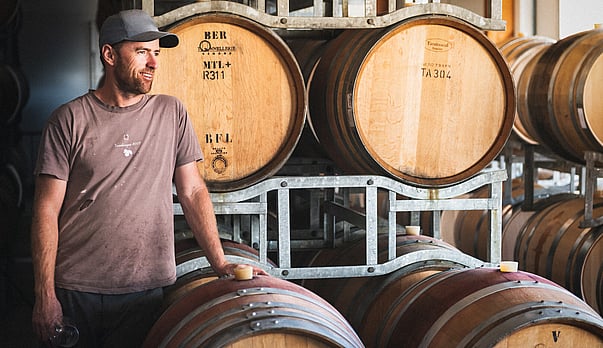 Que Syrah Syrah - new plantings destined in Martinborough