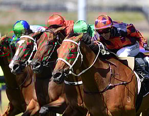 Final Return defies Aussie challenge in Avondale Cup