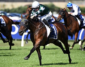 Yulong dominates NZ Oaks
