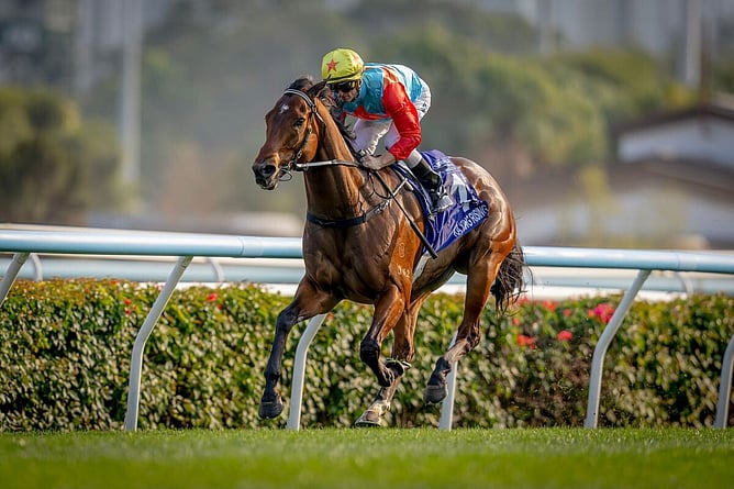 Ka Ying Rising won his 18th consecutive race in the Gr.1 Queen&rsquo;s Silver Jubilee Cup at Sha Tin on Sunday.  - Photo: Hong Kong Jockey Club